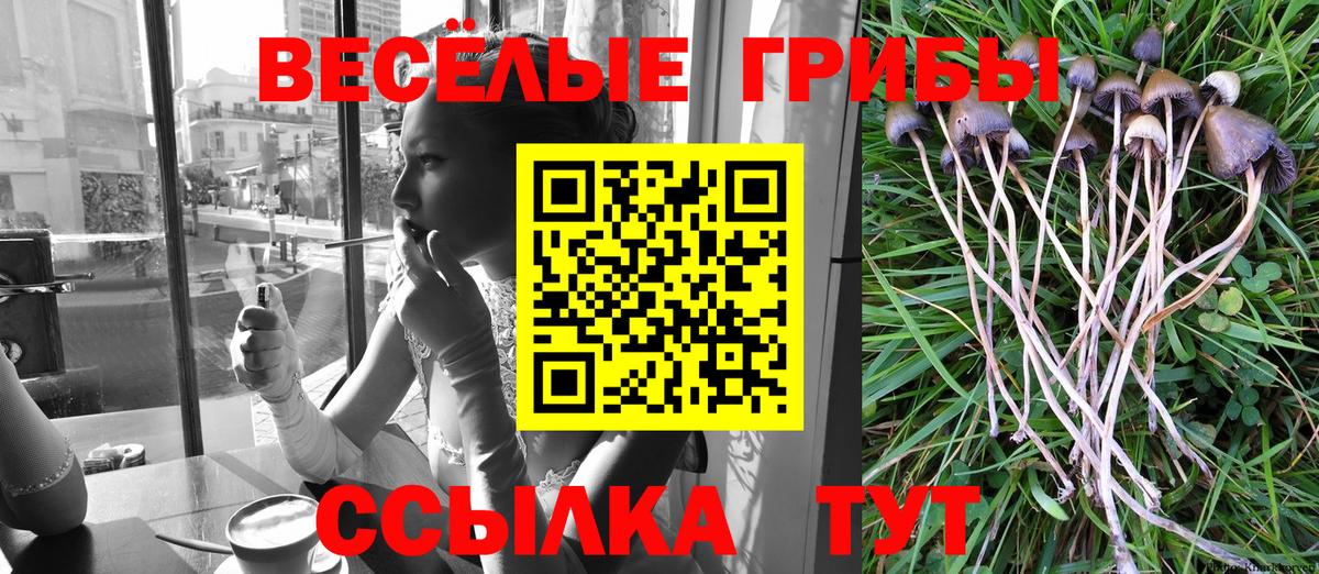 Псилоцибиновые грибы GOLDEN TEACHER Самара
